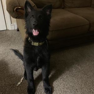 Meet your Posher, Heather